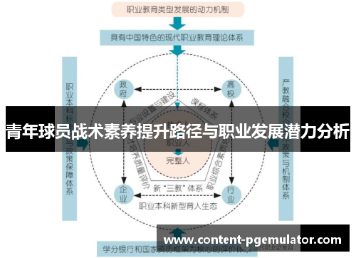 青年球员战术素养提升路径与职业发展潜力分析