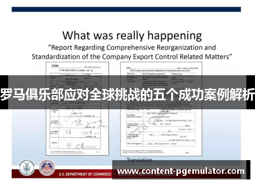 罗马俱乐部应对全球挑战的五个成功案例解析
