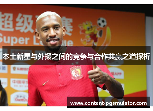 本土新星与外援之间的竞争与合作共赢之道探析