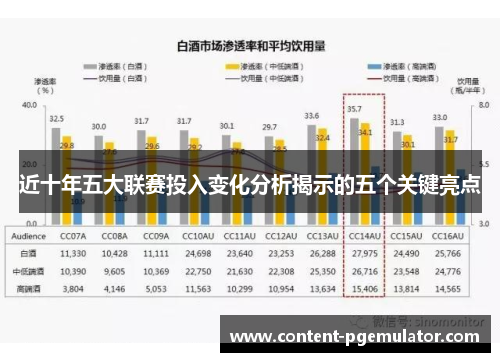 近十年五大联赛投入变化分析揭示的五个关键亮点