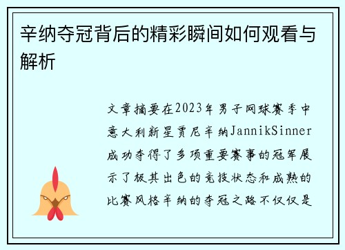 辛纳夺冠背后的精彩瞬间如何观看与解析