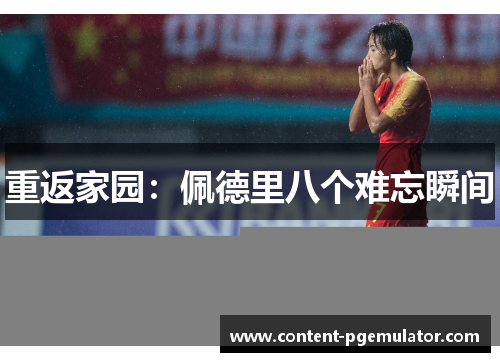 重返家园：佩德里八个难忘瞬间