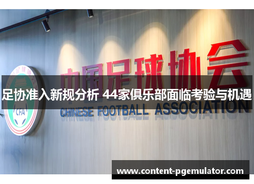 足协准入新规分析 44家俱乐部面临考验与机遇