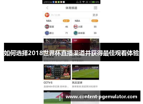 如何选择2018世界杯直播渠道并获得最佳观看体验