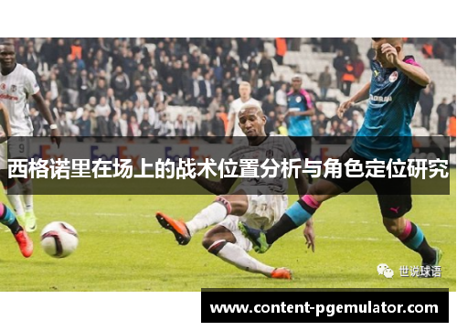 西格诺里在场上的战术位置分析与角色定位研究