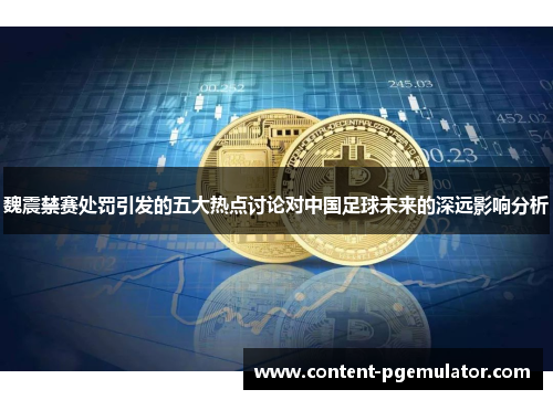 魏震禁赛处罚引发的五大热点讨论对中国足球未来的深远影响分析