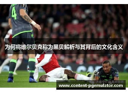 为何将维尔贝克称为黑贝解析与其背后的文化含义