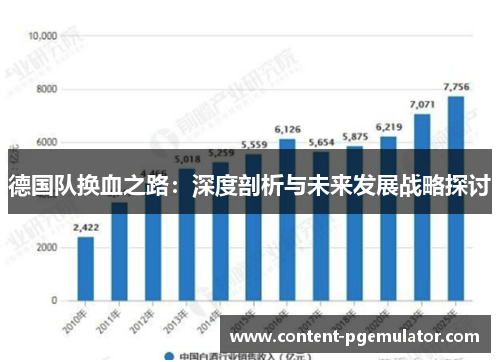 德国队换血之路：深度剖析与未来发展战略探讨
