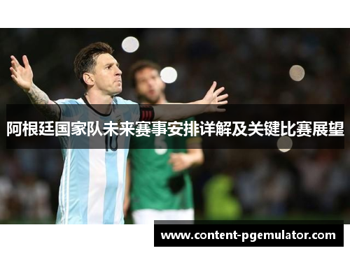 阿根廷国家队未来赛事安排详解及关键比赛展望