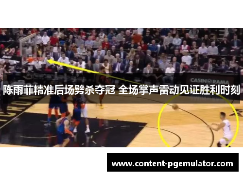 陈雨菲精准后场劈杀夺冠 全场掌声雷动见证胜利时刻 陈雨菲精准后场劈杀夺冠 全场掌声雷动见证胜利时刻