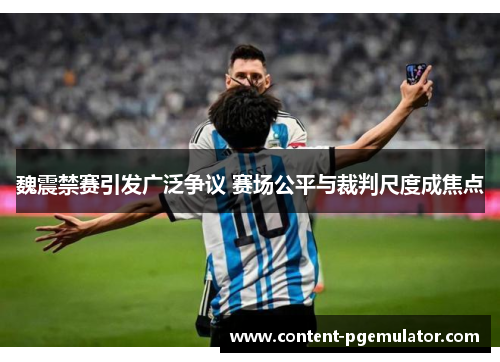 魏震禁赛引发广泛争议 赛场公平与裁判尺度成焦点