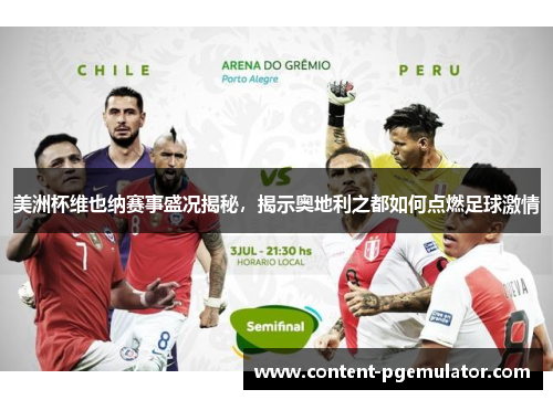 美洲杯维也纳赛事盛况揭秘，揭示奥地利之都如何点燃足球激情