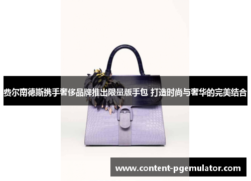 费尔南德斯携手奢侈品牌推出限量版手包 打造时尚与奢华的完美结合