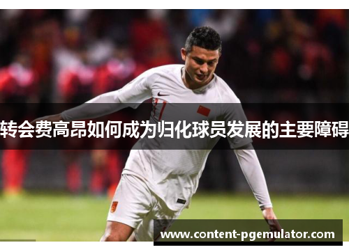 转会费高昂如何成为归化球员发展的主要障碍